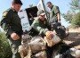 Border Patrol Seizes Drugs and Illegal Immigrants