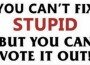 You Cant Fix Stupid